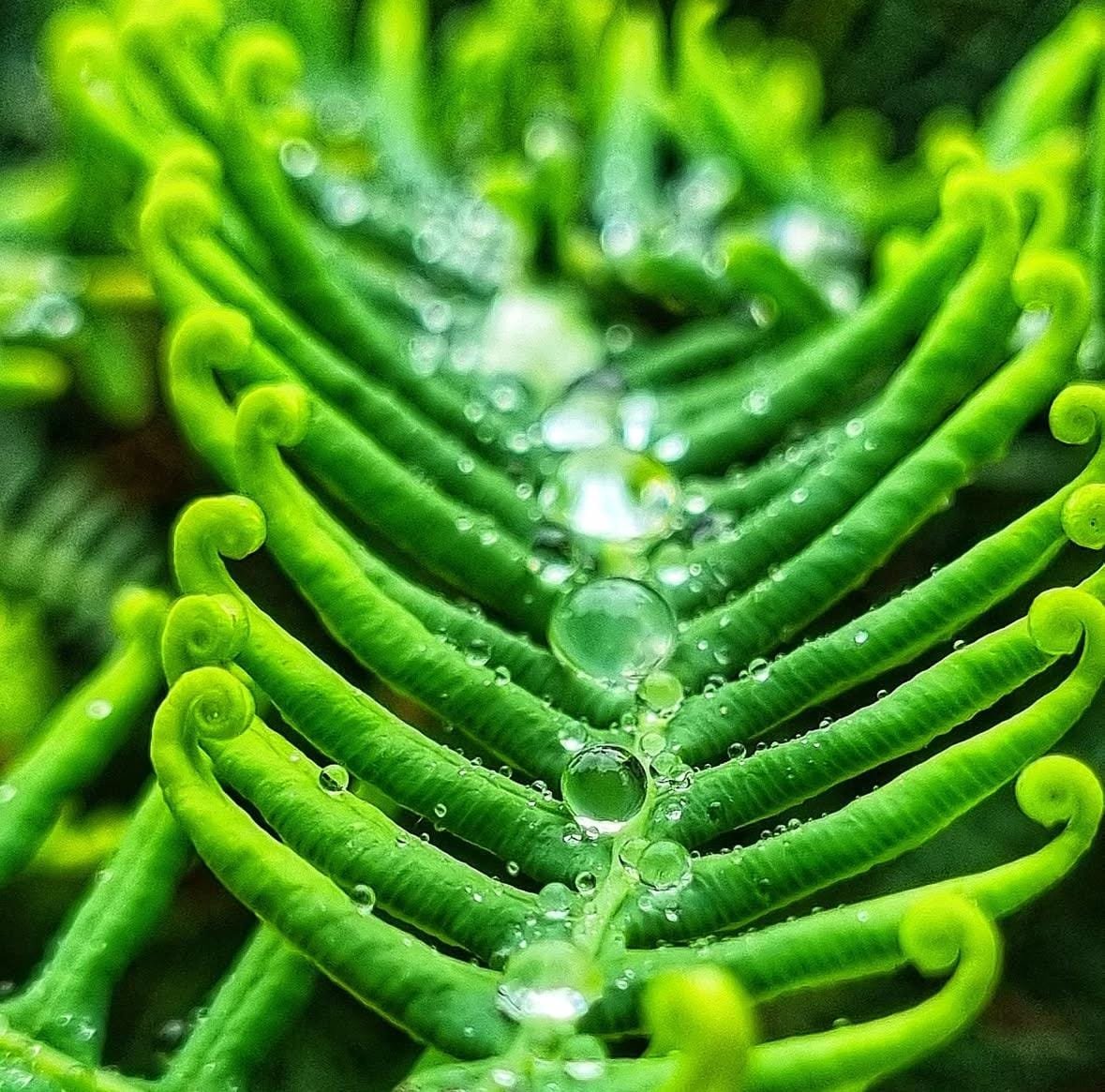 Imagem do WhatsApp de 2025-01-20 à(s) 13.45.19_67d4dec1