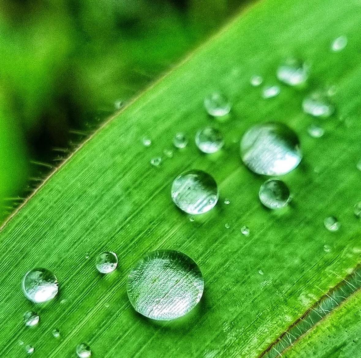 Imagem do WhatsApp de 2025-01-20 à(s) 13.45.19_a37e7328