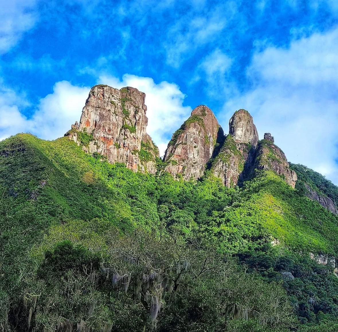 Imagem do WhatsApp de 2025-01-20 à(s) 13.45.20_df3034ec